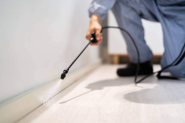 Licensed Mosquito Control service in Tonkawa, OK - Show Me Pest Control