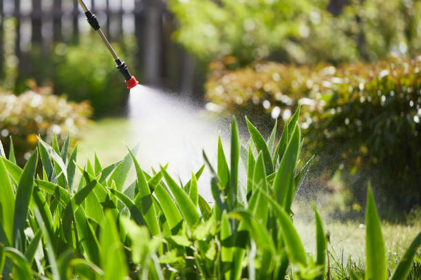 24/7 Emergency Mosquito Control experts in Tonkawa, OK