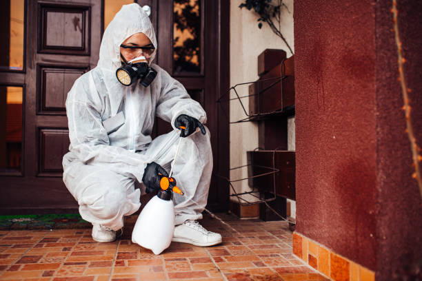 Reliable Mosquito Control contractor in Tonkawa, OK by Show Me Pest Control
